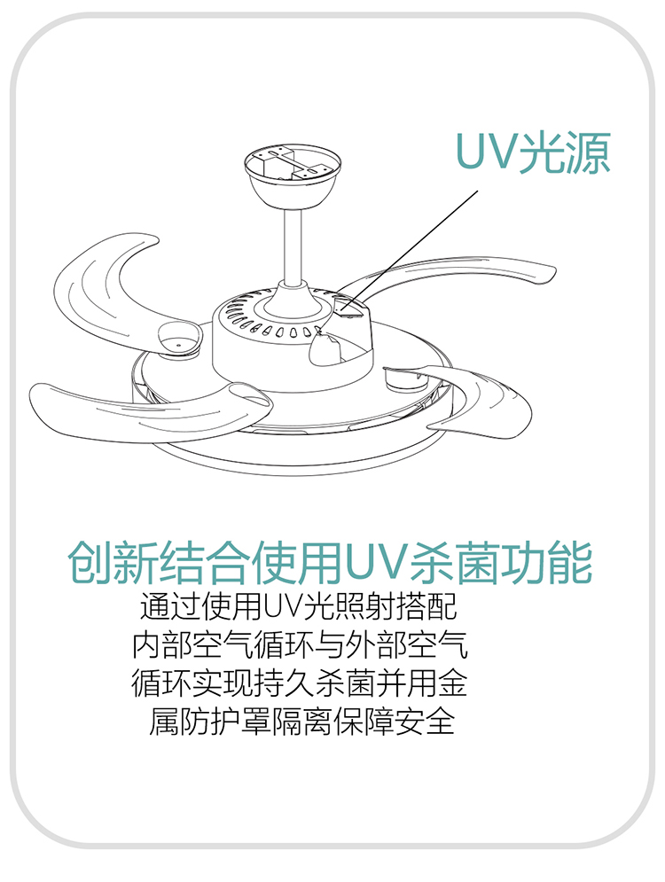 教育風扇燈白(圖11)